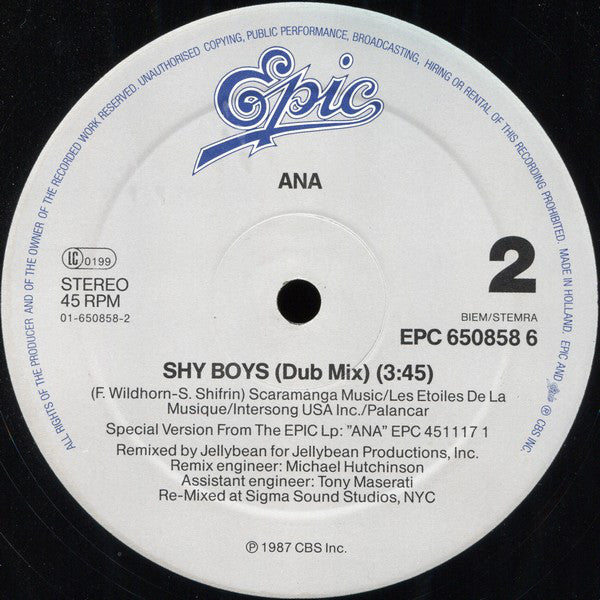 Ana : Shy Boys (12", Maxi)