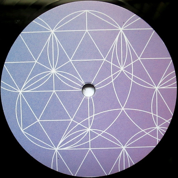 Temples (4) : Sun Restructured (LP, Album, Ltd, 3D )