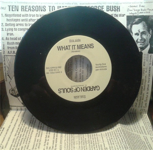 Animosity Incorporated : What It Means / Garden Of Souls (7", Single, Ltd, Num)