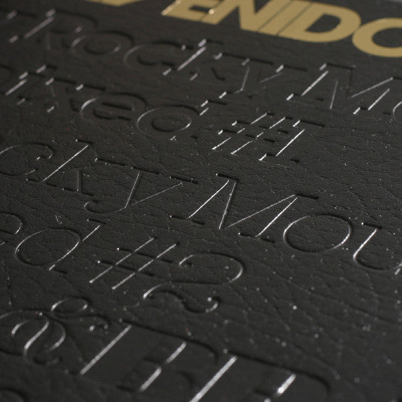 Dublex Inc. : Bienvenido EP (12")