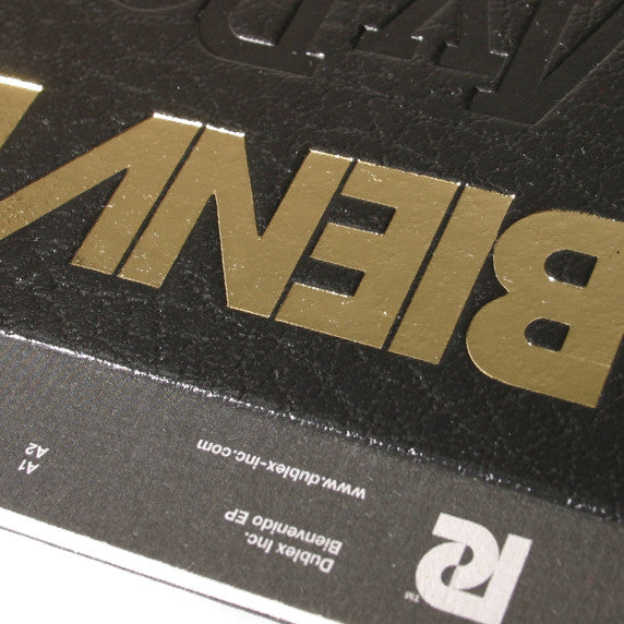 Dublex Inc. : Bienvenido EP (12")