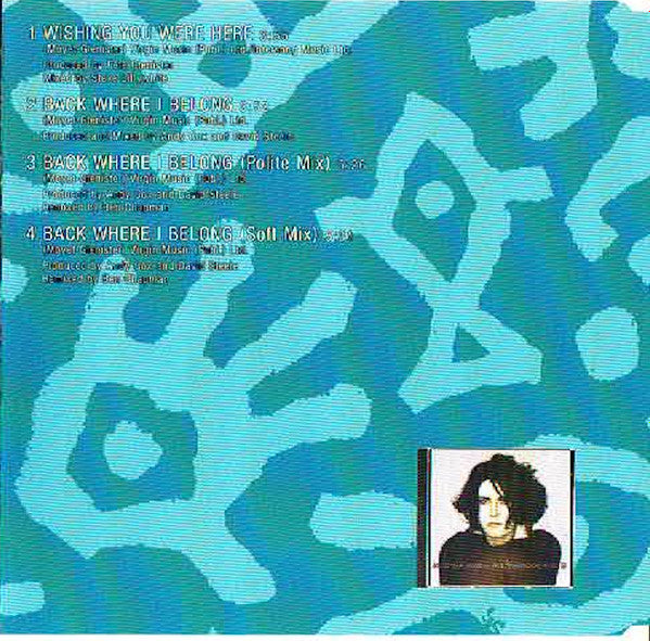 Alison Moyet : Wishing You Were Here (CD, Maxi)