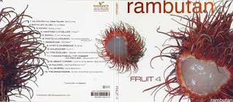 Various : Fruit 4 - Rambutan (CD, Comp, Mixed, Dig)