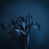 A Swarm Of The Sun : The Rifts (2xLP, Album, Whi)