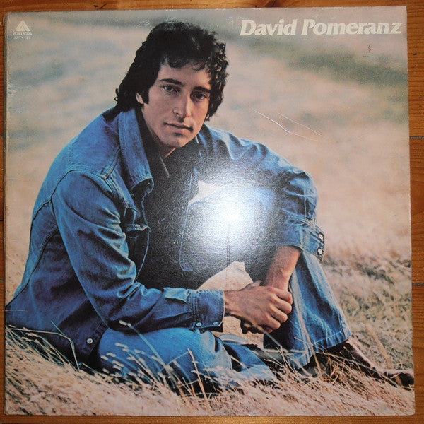 David Pomeranz : It's In Everyone Of Us (LP, Album, Gat)