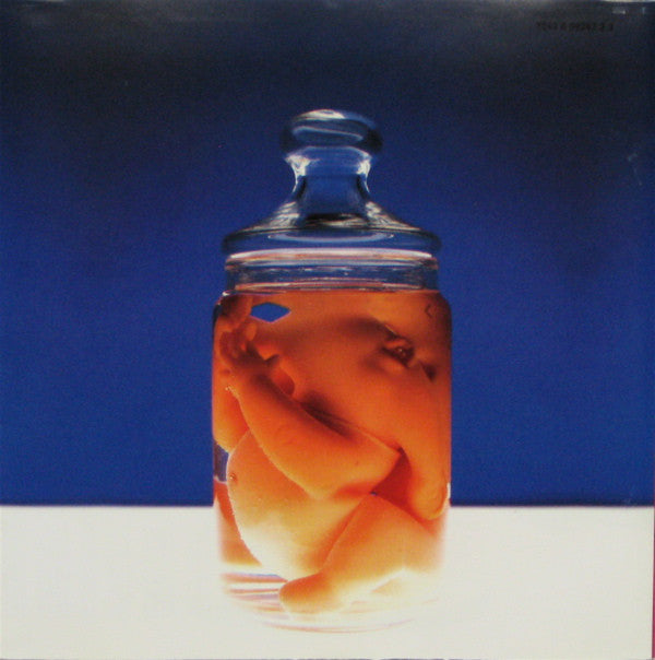 Dubstar (2) : Goodbye (CD, Album)