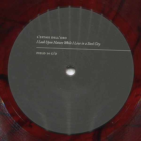 L'estasi Dell'oro : I Look Upon Nature While I Live In A Steel City (2x12", Album, Ltd, 180)