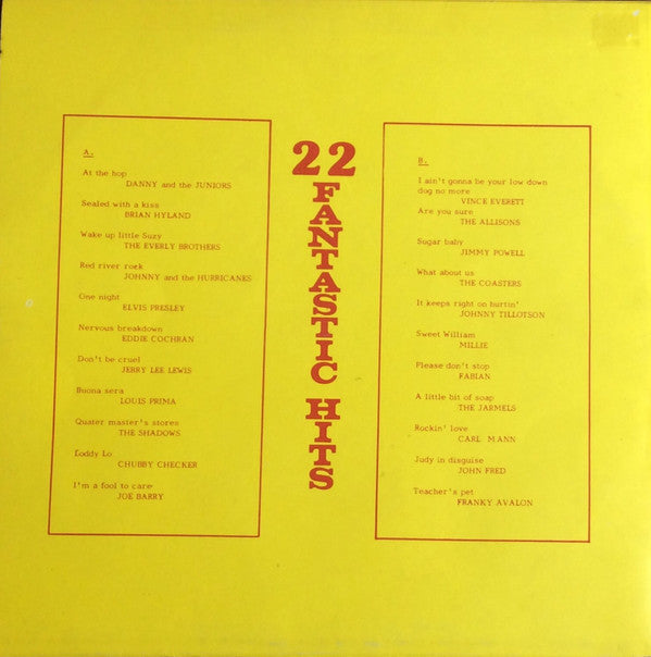 Various : 22 Fantastic Hits - The Rock'n Roll Revival Show  (LP, Comp)