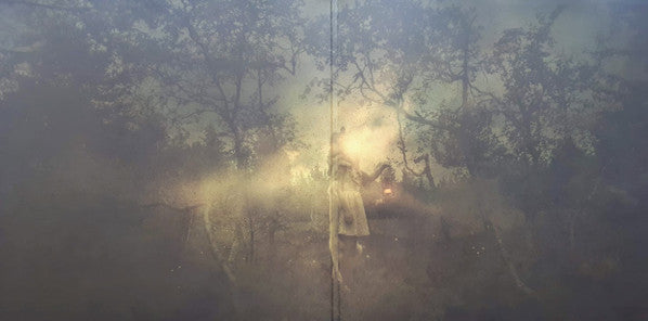 Soup (7) : The Beauty Of Our Youth (2x12", Album, Gre + CD, Album)