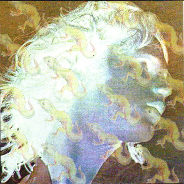 Various Featuring Jim Morrison : Electronic Proclamations Of The Wild Child (CD)