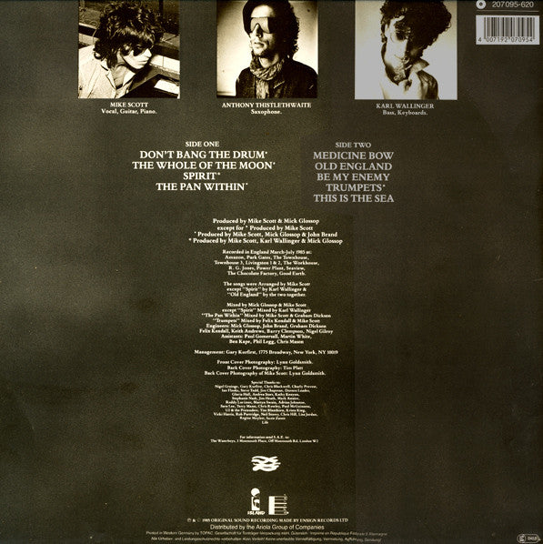 The Waterboys : This Is The Sea (LP, Album)