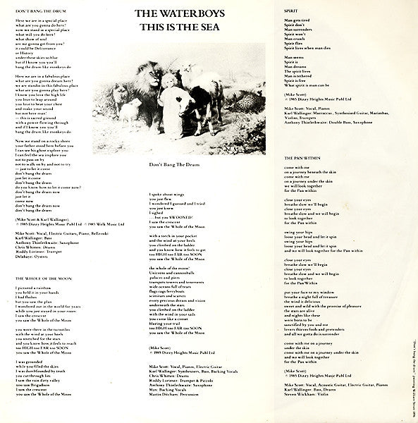 The Waterboys : This Is The Sea (LP, Album)