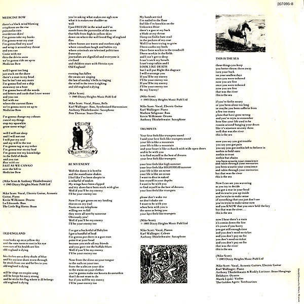 The Waterboys : This Is The Sea (LP, Album)