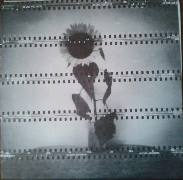 Purple Moon Giants : Contact (7", Single)