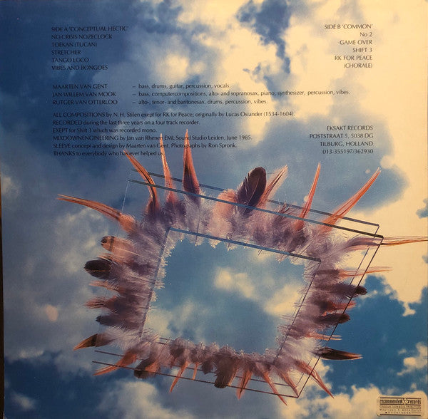 Niew Hip Stilen : Heartsounds & Murmurs (LP)