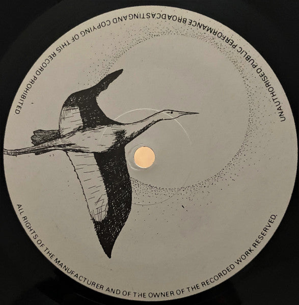 Pythagoras (2) : Journey To The Vast Unknown (LP)