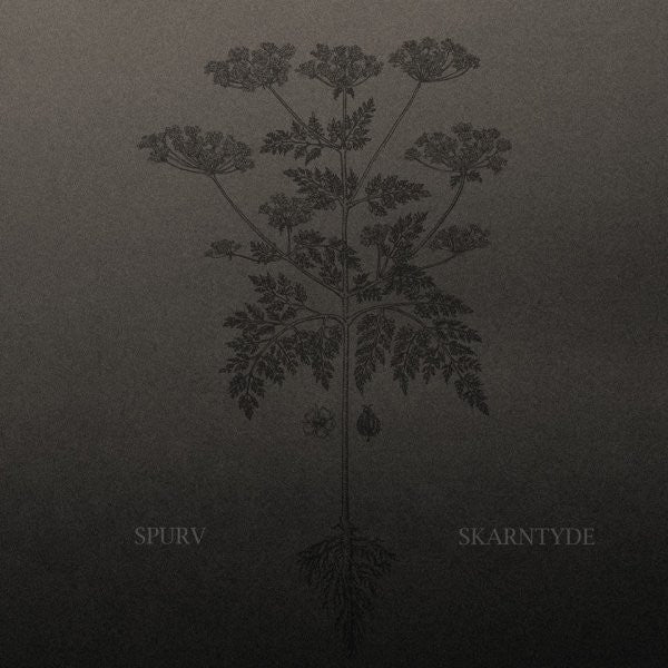 Spurv : Skarntyde (LP, Album, Ltd)