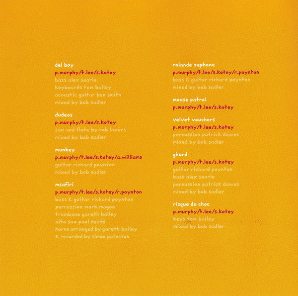 Akwaaba : Too Shiny (CD, Album)