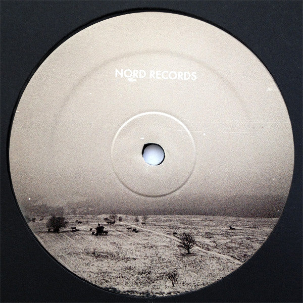 DJ Guy (4) : Ancient Futures (1993 - 1997) (2x12")