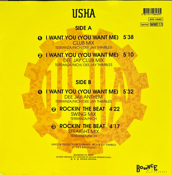 Usha : I Want You / Rockin' The Beat (12")