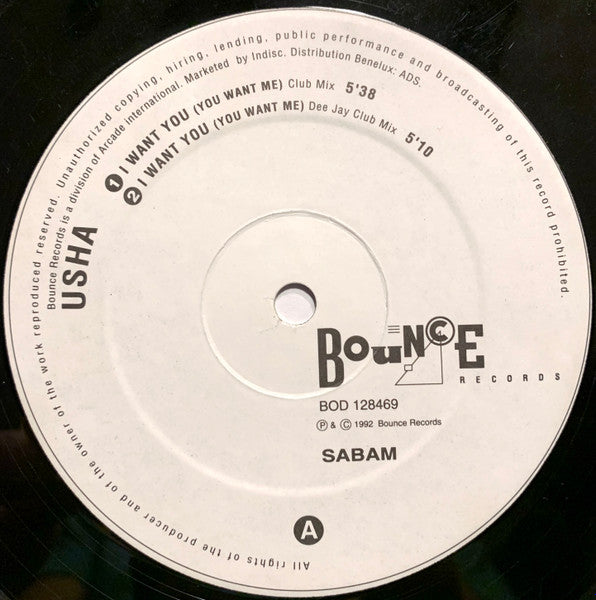 Usha : I Want You / Rockin' The Beat (12")