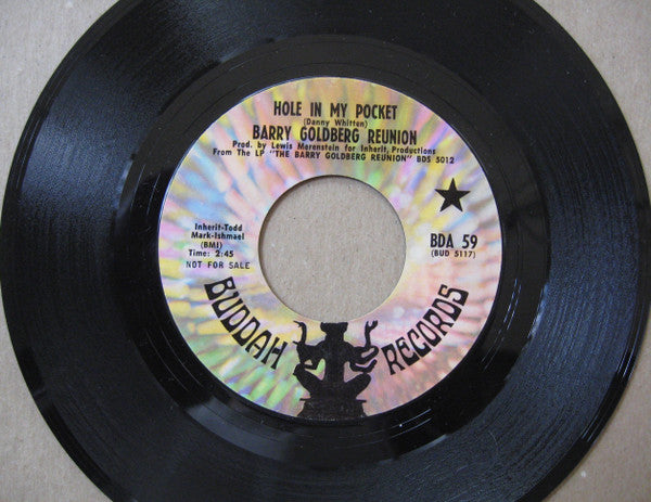 Barry Goldberg Reunion : Hole In My Pocket / Sittin' In Circles (7", Single, Styrene)
