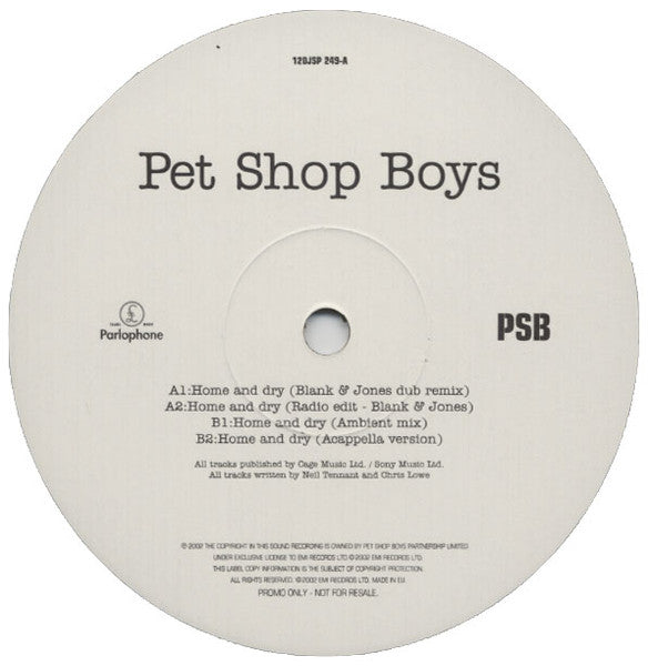 Pet Shop Boys : Home And Dry (12", Promo)