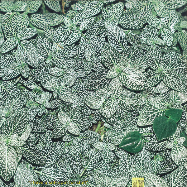 Obalski : According To Obalski (12", EP)