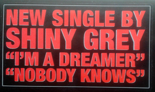 ShinyGrey : I'm A Dreamer / Nobody Knows (12")