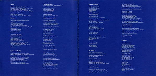 Giant Sand : Selections Circa 1990-2000 (CD, Comp)