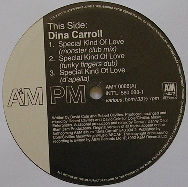 Dina Carroll : Special Kind Of Love (12", Single)