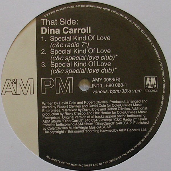 Dina Carroll : Special Kind Of Love (12", Single)