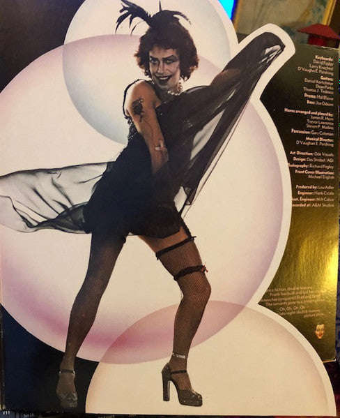 Various : The Rocky Horror Show (Starring Tim Curry And The Original Roxy Cast) (LP)