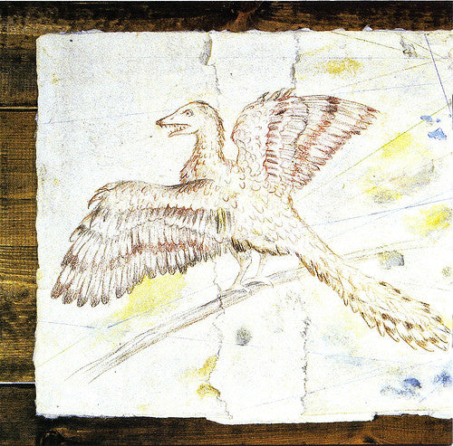 The Fiery Furnaces : Gallowsbird's Bark (CD, Album)