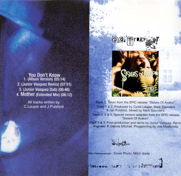 Cyndi Lauper : You Don't Know (CD, Maxi)