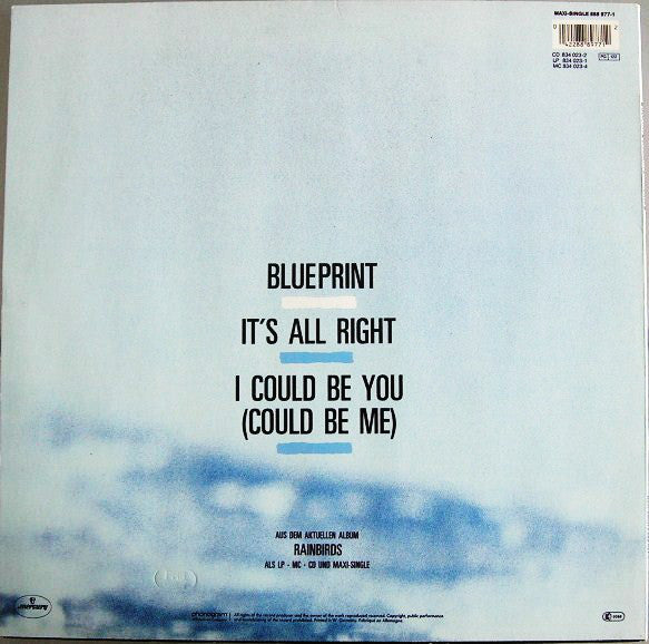 Rainbirds : Blueprint (12", Maxi)