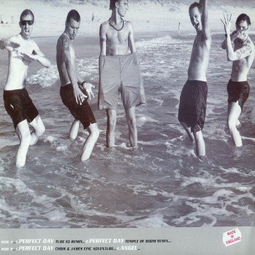 EMF : Perfect Day (12")