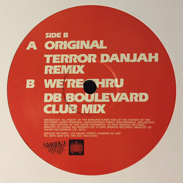 Tempramentals : I Could Let You Love Me (12")