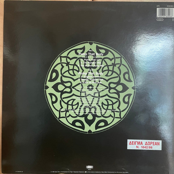 Stevie B : Pump That Body (12")