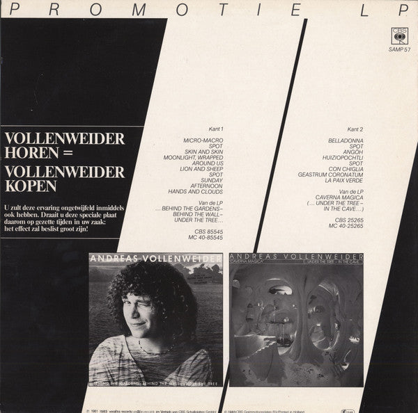 Andreas Vollenweider : Andreas Vollenweider (LP, Comp, Promo)