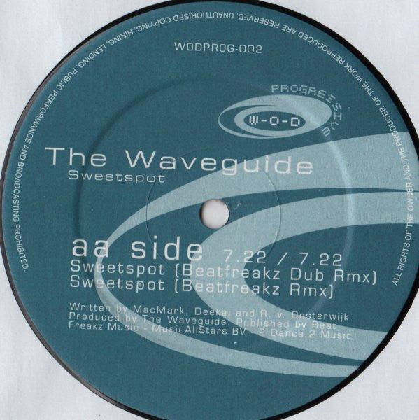 The Waveguide : Sweetspot (12")