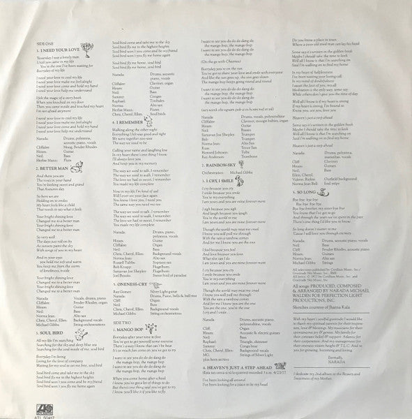 Narada Michael Walden : I Cry, I Smile (LP, Album)