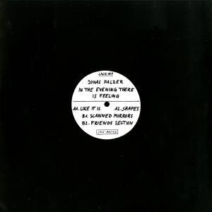 Jonas Palzer : In The Evening There Is Feeling (12")
