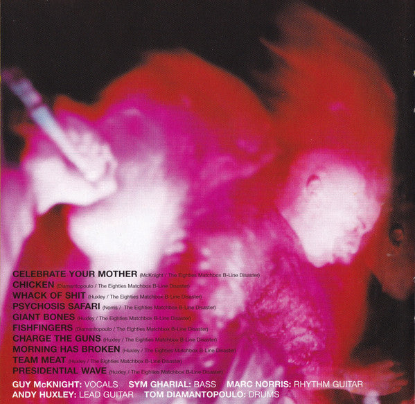 The Eighties Matchbox B-Line Disaster : Hörse Of The Dög (CD, Album)