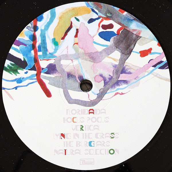 Animal Collective : Painting With (LP, Album, Dlx, Ltd, Geo)