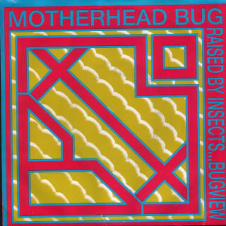 Motherhead Bug : Raised By Insects ... Bugview (7", Pur)