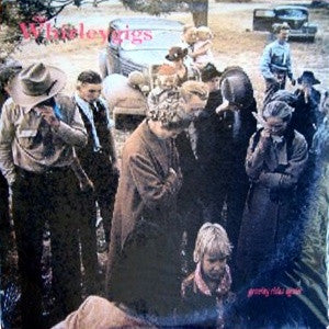 The Whirleygigs : Gravity Rides Again (LP, Album)