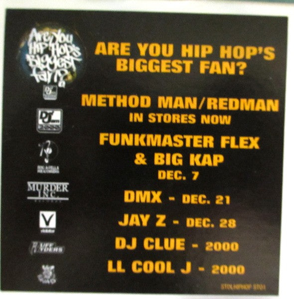 Sisqo : Thong Song (12", Promo)