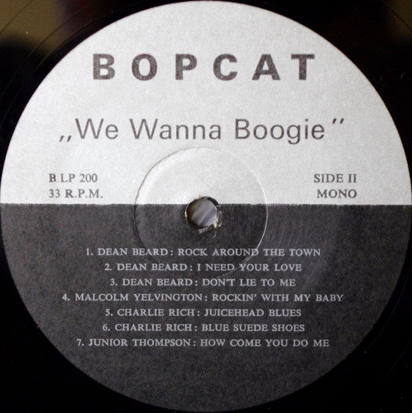 Various : We Wanna Boogie (LP, Comp, Mono, Unofficial)