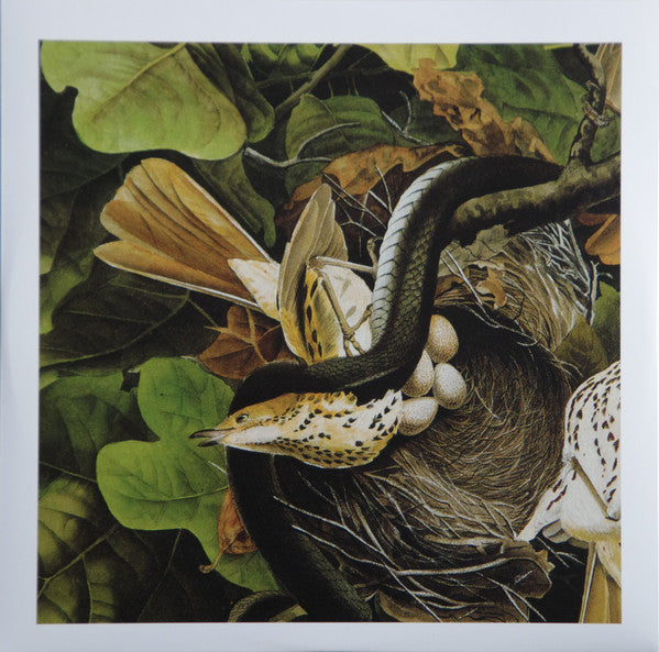 Various : Todo Muere Volume 5 (LP, RSD, Comp, Ltd)